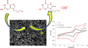 Graphical abstract: A simple and low-cost electrochemical sensor based on a graphite sheet electrode modified by carboxylated multiwalled carbon nanotubes and gold nanoparticles for detection of acyclovir