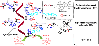 Graphical abstract: Cellulose-supported hyper-crosslinked l-tryptophan as an efficient chiral catalyst support for improved catalytic performance