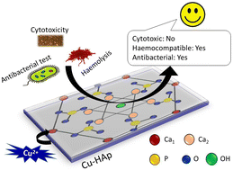 Graphical abstract: Crystallographic characterization and application of copper doped hydroxyapatite as a biomaterial