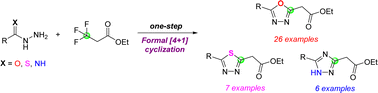 Graphical abstract: Formal [4+1] cyclization of (thio/imido)hydrazides and ethyl 3,3,3-trifluoropropanoate: unified synthesis of 1,3,4-oxadiazoles, 1,3,4-thiadiazoles and 1,2,4-triazoles