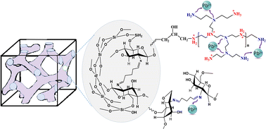 Graphical abstract: Polyethylenimine-functionalized mesoporous silica-chitosan composites and their ability to adsorb Pb(ii)