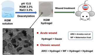 Graphical abstract: Konjac glucomannan hydrogel dressing and its combination with Chinese medicine for the wound treatment