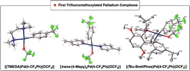 Graphical abstract: Preparation, characterization and reactivity of trifluoromethoxy palladium(ii) complexes