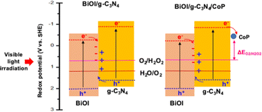 Graphical abstract: Photocatalytic splitting of H2O-to-H2O2 by BiOI/g-C3N4/CoP S-scheme heterojunctions