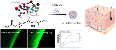 Graphical abstract: A novel delivery vehicle for copper peptides