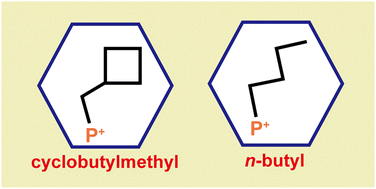 Graphical abstract: Effect of introducing a cyclobutylmethyl group into an onium cation on the thermodynamic properties of ionic clathrate hydrates