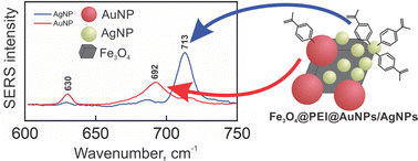 Graphical abstract: Magneto-plasmonic nanostructures for SERS: magnetite decorated by silver and gold nanoparticles