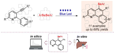 Graphical abstract: Synthesis and biological evaluation of 5-chalcogenyl-benzo[h]quinolines via photocyclization of arylethynylpyridine derivatives