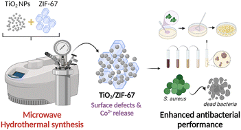 Graphical abstract: TiO2/ZIF-67 nanocomposites synthesized by the microwave-assisted solvothermal method: a correlation between the synthesis conditions and antimicrobial properties