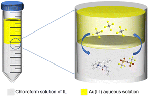 Graphical abstract: Extraction of Au(iii) from hydrochloric acid media using a novel amide-based ionic liquid