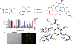 Graphical abstract: Ultrasound-promoted synthesis of novel N-arylamino-3,5′-biquinoline derivatives: their applications in live-cell imaging and in vitro anticancer activity evaluation