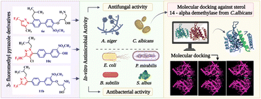 Graphical abstract: Synthesis, antimicrobial and ergosterol biosynthesis inhibition activity of clubbed 1,1′-biphenyl-pyrazole derivatives