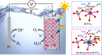 Graphical abstract: Enhanced photoelectrochemical water oxidation over a surface-hydroxylated BiVO4 photoanode: advantageous charge separation and water dissociation