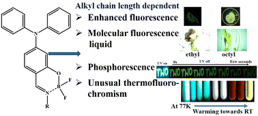 Graphical abstract: Triphenylamine–boron complexes: molecular thermometry and alkyl chain controlled molecular fluorescent liquids