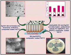 Graphical abstract: Engineering the surface of titanium to improve its bioactivity and antibacterial activity through a multi-functional coating approach