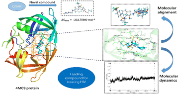Graphical abstract: Evaluation of novel HIV-1 protease inhibitors with DRV-resistance by utilizing 3D-QSAR molecular docking and molecular dynamics simulation
