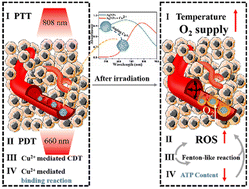 Graphical abstract: All-in-one Cu-mediated Ag-assembled nanocomposites for photothermal-assisted photo/chemical dynamic therapy with hypoxia relief and enhanced reactive oxygen species