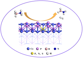 Graphical abstract: The electronic structures of non-metal (N, S) doped cobalt phosphide catalysts and the catalytic mechanism for the hydrogen evolution reaction of ammonia borane: a theoretical study