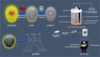 Graphical abstract: Disposable paper-based PET fluorescence probe linked with calix[4]arene for lithium and phosphate ion detection