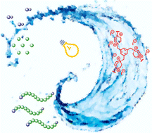 Graphical abstract: A durable heterogeneous catalyst for photoinduced controlled radical polymerization under white LED light irradiation in an aqueous solution