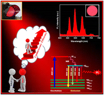 Graphical abstract: Origin of the active luminescence from Sm3+-activated borate phosphors: a correlational study of trap states and decay kinetics