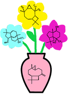 Graphical abstract: New trifluoromethylated sesquiterpenoids: synthesis, rearrangement, and biological activity