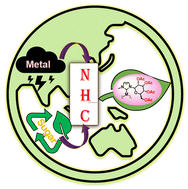 Graphical abstract: Carbohydrate-based N-heterocyclic carbene-metal complexes: a new avenue for sustainable catalysts in organic transformations