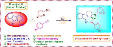 Graphical abstract: A cascade A3 coupling strategy towards the regioselective synthesis of β-carboline N-fused pyrrole derivatives with pyridine tethers