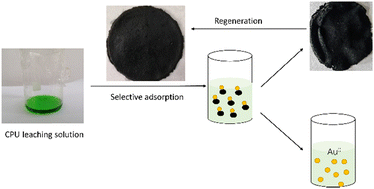 Graphical abstract: Chitosan-poly(m-phenylenediamine) membranes for efficient gold recovery from acidic aqueous solutions