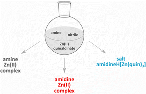 Graphical abstract: Amidines from cyclic amines and nitriles in the presence of zinc(ii): other nitriles in place of acetonitrile