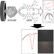 Graphical abstract: Direct electrochemistry of doxorubicin and its ultra-sensitive detection using a novel porous thorny carbon dodecahedron