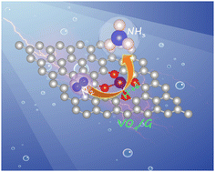 Graphical abstract: Effect of oxygen coordination on the electrocatalytic nitrogen fixation of a vanadium single-atom catalyst embedded in graphene