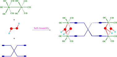 Graphical abstract: Self-assembly of thiolato-bridged ester-functionalized Re(i)-based tetranuclear spiro-metallacyclophanes