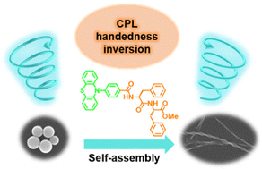 Graphical abstract: Molecular packing structural transition driven handedness inversion of circularly polarized luminescence of phenothiazine substituted Phe–Phe dipeptides