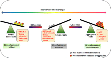 Graphical abstract: Deciphering swift reversal of multifaceted photodynamics of a novel pyrene appended unsymmetrical salicylaldehyde azine derivative in aqueous and protein environments