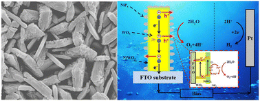 Graphical abstract: In situ integration of a cocatalyst and heterojunction to a WO3 photoanode with enhanced photoelectrochemical performance via phosphatization