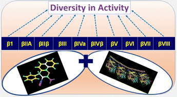 Graphical abstract: Anticancer SAR establishment and α/β-tubulin isoform specific targeting: a detailed insight of the anticancer potential of 4H-chromene derivatives