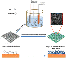 Graphical abstract: Polypyrrole/carbon nanotube coated stainless steel mesh as a novel sorbent
