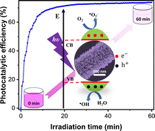 Graphical abstract: Macroemulsion-mediated synthesis of fibrous ZnO microrods and their surface morphology contribution to the high photocatalytic degradation rate