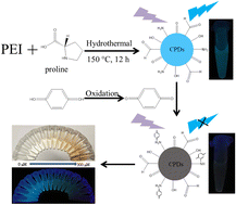 Graphical abstract: Fluorometric assay of hydroquinone without interference from catechol and resorcinol based on carbonized polymer dots