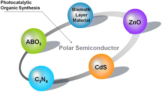 Graphical abstract: Polar semiconductor photocatalysts with intrinsic electric fields for selective organic transformation