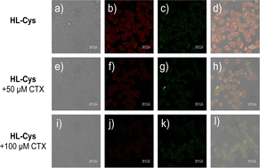 Graphical abstract: A novel NIR fluorescent probe with ratiometric imaging of cysteine in endoplasmic reticulum