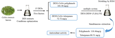 Graphical abstract: Simultaneous extraction of total polyphenols and triterpenes from leaves of Celtis sinensis by deep eutectic solvent hybrid system combined with response surface methodology