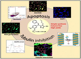 Graphical abstract: Synthesis of cis-stilbene-based 1,2,4-triazole/1,3,4-oxadiazole conjugates as potential cytotoxic and tubulin polymerization inhibitors