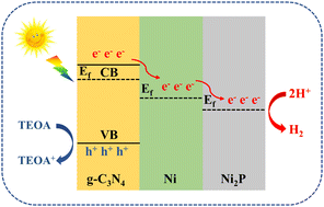 Graphical abstract: Boosting the photogenerated charge separation of g-C3N4 by constructing a Ni@Ni2P cocatalyst with a core–shell structure