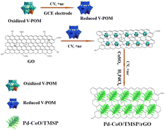 Graphical abstract: Electrochemical synthesis of dendritic Pd-CoO/PW10V2/rGO and its electrocatalytic performance for formic acid oxidation