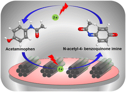 Graphical abstract: Tailoring the electrocatalytic activity of porous carbon with heteroatom dopants for the quantification of acetaminophen in pharmaceuticals and biological samples