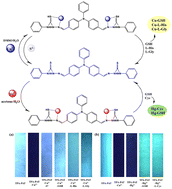 Graphical abstract: Synthesis of a novel triphenylamine-based multifunctional fluorescent probe for continuous recognition applications