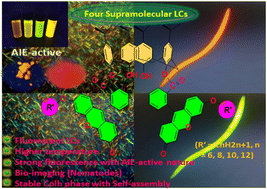 Graphical abstract: Fluorescein-appended calixarene-functionalized supramolecular AIE-active liquid crystalline materials for self-assembly and bio-imaging applications