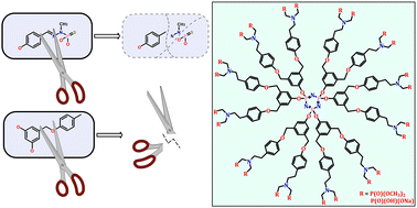 Graphical abstract: Useful synthetic pathways to original, stable tunable neutral and anionic phosphorus dendrimers: new opportunities to expand dendrimer space